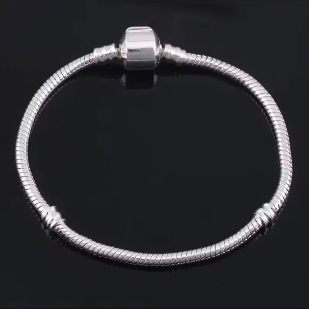 Sterling Silver Serpentine Charm Bracelet